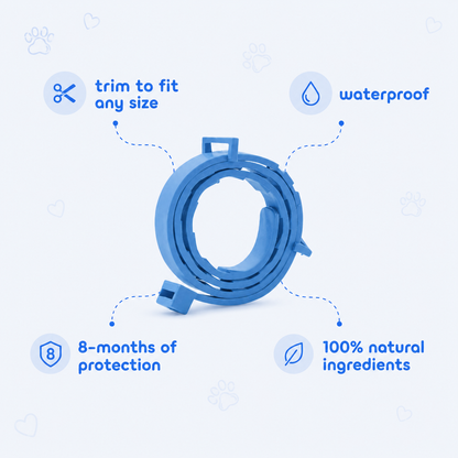 Catmere™ -  8 Months All Natural Flea and Tick Collar for Cats