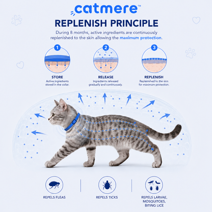 Catmere™ -  8 Months All Natural Flea and Tick Collar for Cats