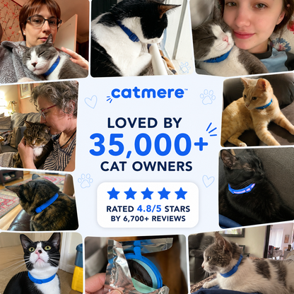 Catmere™ -  8 Months All Natural Flea and Tick Collar for Cats